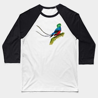 Quetzal in Watercolor Baseball T-Shirt